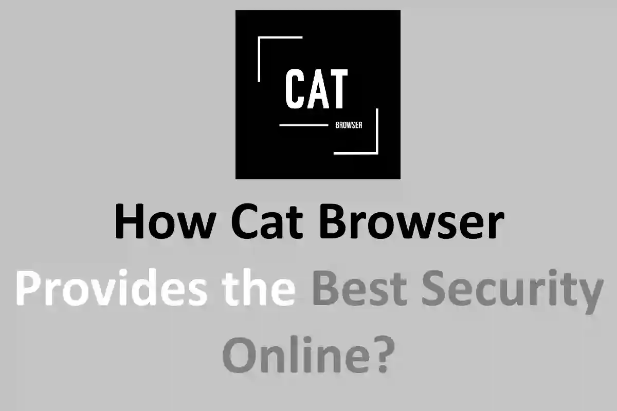 How Cat Browser Provides the Best Security Online?