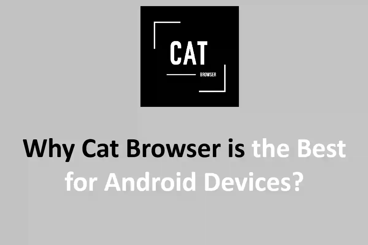 Why Cat Browser is the Best for Android Devices?