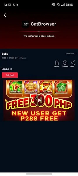 Screenshot of Cat Browser Entertainment